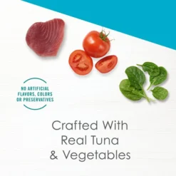 Fancy Feast Classic Broths with Tuna & Vegetables Supplemental Cat Food Pouches 12 Fancy Feast Classic Broths with Tuna & Vegetables Supplemental Cat Food Pouches -FANCY FEAST Sales 101734 PT2. SY630 V1629155190