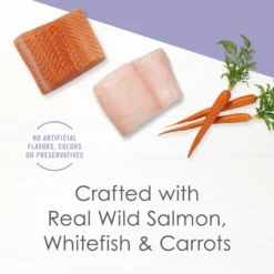 Fancy Feast Creamy Broths with Wild Salmon & Whitefish Supplemental Cat Food Pouches -FANCY FEAST Sales 101744 PT2. SY630 V1640887004
