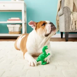 Arm & Hammer Ora Play Denta-Saurus Mint Tough Dog Chew Toy -FANCY FEAST Sales 118070 PT5. SY630 V1530919310