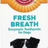 Arm & Hammer Fresh Breath Vanilla-Ginger Flavored Enzymatic Dog Toothpaste -FANCY FEAST Sales 118089 MAIN. SY630 V1617325308