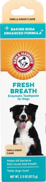 Arm & Hammer Fresh Breath Vanilla-Ginger Flavored Enzymatic Dog Toothpaste