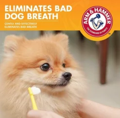 Arm & Hammer Fresh Breath Vanilla-Ginger Flavored Enzymatic Dog Toothpaste -FANCY FEAST Sales 118089 PT3. SY630 V1617328328