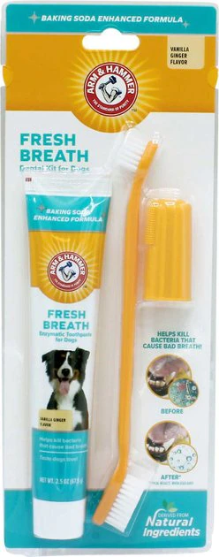 Arm & Hammer Fresh Breath Vanilla-Ginger Flavored Dog Dental Kit 3 Arm & Hammer Fresh Breath Vanilla-Ginger Flavored Dog Dental Kit