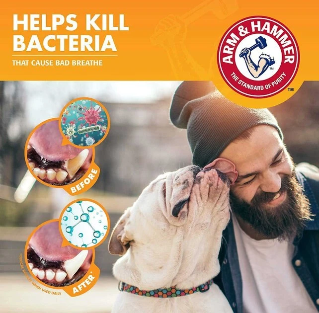 Arm & Hammer Fresh Breath Vanilla-Ginger Flavored Dog Dental Kit 7 Arm & Hammer Fresh Breath Vanilla-Ginger Flavored Dog Dental Kit - Image 5