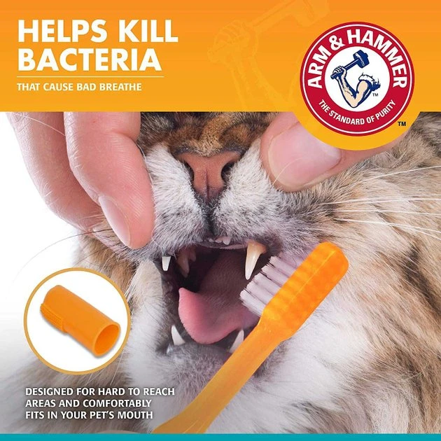 Arm & Hammer Fresh Breath Tuna Flavored Enzymatic Kitten Dental Kit 7 Arm & Hammer Fresh Breath Tuna Flavored Enzymatic Kitten Dental Kit - Image 5