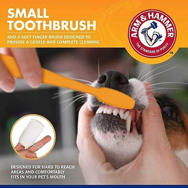 Arm & Hammer Tartar Control Vanilla-Ginger Flavored Enzymatic Puppy Dental Training Kit 7 Arm & Hammer Tartar Control Vanilla-Ginger Flavored Enzymatic Puppy Dental Training Kit - Image 5