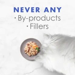 Fancy Feast Appetizers Oceanfish with a Shrimp Topper Cat Treats -FANCY FEAST Sales 148167 PT3. SY630 V1535571565