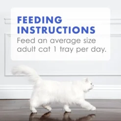 Fancy Feast Appetizers Oceanfish with a Shrimp Topper Cat Treats -FANCY FEAST Sales 148167 PT8. SY630 V1535571715