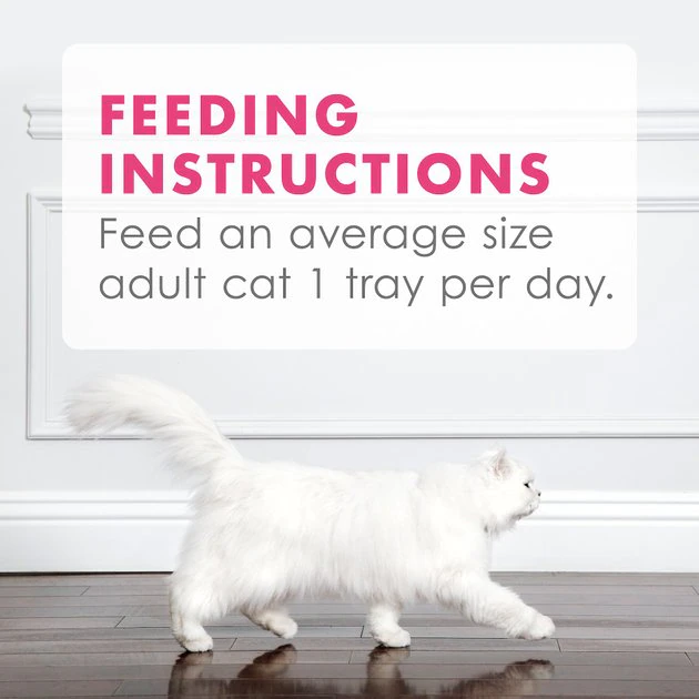 Fancy Feast Appetizers Wild Alaskan Salmon Cat Treats 11 Fancy Feast Appetizers Wild Alaskan Salmon Cat Treats - Image 9