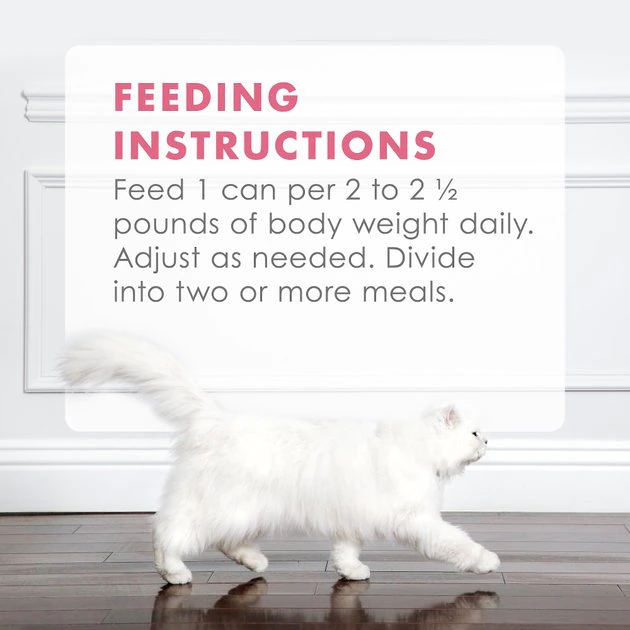 Fancy Feast Gourmet Naturals Wild Alaskan Salmon & Shrimp Recipe in Gravy Canned Cat Food 11 Fancy Feast Gourmet Naturals Wild Alaskan Salmon & Shrimp Recipe in Gravy Canned Cat Food - Image 9