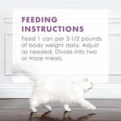Fancy Feast Gourmet Naturals Beef Recipe Pate Canned Cat Food 19 Fancy Feast Gourmet Naturals Beef Recipe Pate Canned Cat Food -FANCY FEAST Sales 155545 PT8. SY630 V1543334182