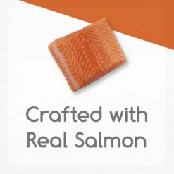 Fancy Feast Gourmet Naturals Wild Alaskan Salmon Recipe Pate Canned Cat Food -FANCY FEAST Sales 155549 PT2. SY630 V1543334214