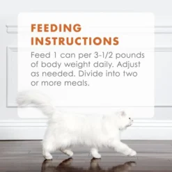 Fancy Feast Gourmet Naturals Wild Alaskan Salmon Recipe Pate Canned Cat Food -FANCY FEAST Sales 155549 PT8. SY630 V1543334132