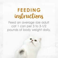 Fancy Feast Medleys White Meat Chicken Florentine with Cheese & Spinach Pate Canned Cat Food, 3-oz, case of 24 18 Fancy Feast Medleys White Meat Chicken Florentine with Cheese & Spinach Pate Canned Cat Food, 3-oz, case of 24 -FANCY FEAST Sales 205079 PT7. SY630 V1648503411