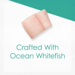 Fancy Feast Gourmet Naturals Ocean Whitefish Recipe Grain-Free Pate Canned Cat Food, 3-oz can, case of 12 -FANCY FEAST Sales 214799 pt2. SY630 V1576853039