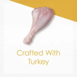 Fancy Feast Gourmet Naturals Turkey Recipe Pate Canned Cat Food, 3-oz can, case of 12 -FANCY FEAST Sales 214803 pt2. SY630 V1576853277