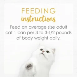 Fancy Feast Gourmet Naturals Turkey Recipe Pate Canned Cat Food, 3-oz can, case of 12 -FANCY FEAST Sales 214803 pt7. SY630 V1576853286