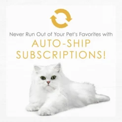 Fancy Feast Gourmet Naturals Turkey Recipe Pate Canned Cat Food, 3-oz can, case of 12 -FANCY FEAST Sales 214803 pt8. SY630 V1576853288