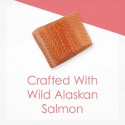 Fancy Feast Gourmet Naturals Natural Wild Alaskan Salmon Recipe Grain-Free Pate Kitten Canned Cat Food, 3-oz can, case of 12 -FANCY FEAST Sales 214809 pt2. SY630 V1576853321