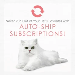 Fancy Feast Gourmet Naturals Natural Wild Alaskan Salmon Recipe Grain-Free Pate Kitten Canned Cat Food, 3-oz can, case of 12 -FANCY FEAST Sales 214809 pt8. SY630 V1576853334