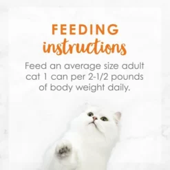 Fancy Feast Medleys White Meat Chicken Recipe with Garden Veggies in Sauce Marron Canned Cat Food, 3-oz can, case of 24 -FANCY FEAST Sales 214811 pt7. SY630 V1576853346