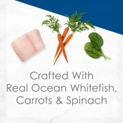 Fancy Feast Medleys Ocean Whitefish Recipe with Garden Veggies in Cheesy Bechamel Sauce Canned Cat Food, 3-oz can, case of 24 -FANCY FEAST Sales 214815 pt2. SY630 V1576858079