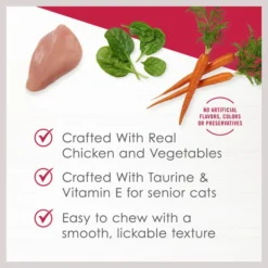 Fancy Feast Senior Creamy With Chicken & Vegetables in Broth Cat Food Complement & Topper, 1.4-oz pouch, case of 16 13 Fancy Feast Senior Creamy With Chicken & Vegetables in Broth Cat Food Complement & Topper, 1.4-oz pouch, case of 16 -FANCY FEAST Sales 214819 PT2. SY630 V1641258696