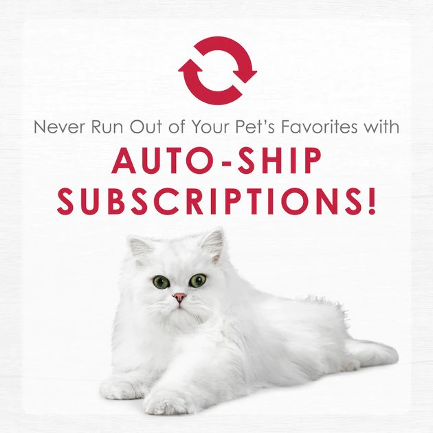 Fancy Feast Senior Creamy With Chicken & Vegetables in Broth Cat Food Complement & Topper, 1.4-oz pouch, case of 16 11 Fancy Feast Senior Creamy With Chicken & Vegetables in Broth Cat Food Complement & Topper, 1.4-oz pouch, case of 16 - Image 9