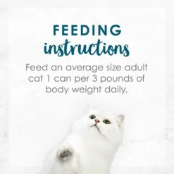 Fancy Feast Tuna Feast in Gravy Minced Senior 7+ Canned Cat Food, 3-oz can, case of 24 18 Fancy Feast Tuna Feast in Gravy Minced Senior 7+ Canned Cat Food, 3-oz can, case of 24 -FANCY FEAST Sales 217434 PT7. SY630 V1579553586