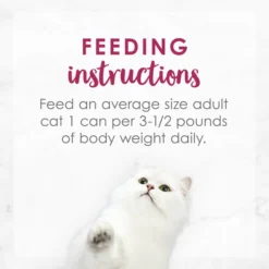 Fancy Feast Chicken Feast Pate Senior 7+ Canned Cat Food, 3-oz can, case of 24 -FANCY FEAST Sales 217436 PT7. SY630 V1579553581