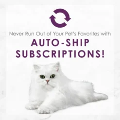 Fancy Feast Beef Feast Classic Pate Senior 7+ Canned Cat Food, 3-oz can, case of 24 19 Fancy Feast Beef Feast Classic Pate Senior 7+ Canned Cat Food, 3-oz can, case of 24 -FANCY FEAST Sales 217438 PT8. SY630 V1579553612