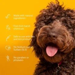 Arm & Hammer Kiwi Blossom Super Deodorizing Dog Spray, 8-oz bottle -FANCY FEAST Sales 227887 PT4. SY630 V1584976883