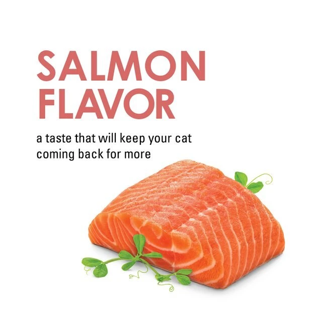 Fancy Feast Savory Cravings Limited Ingredient Salmon Flavor Cat Treats, 3-oz box, case of 3 7 Fancy Feast Savory Cravings Limited Ingredient Salmon Flavor Cat Treats, 3-oz box, case of 3 - Image 5