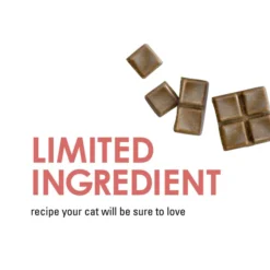 Fancy Feast Savory Cravings Limited Ingredient Salmon Flavor Cat Treats, 3-oz box, case of 3 17 Fancy Feast Savory Cravings Limited Ingredient Salmon Flavor Cat Treats, 3-oz box, case of 3 -FANCY FEAST Sales 250694 PT6. SY630 V1598551288