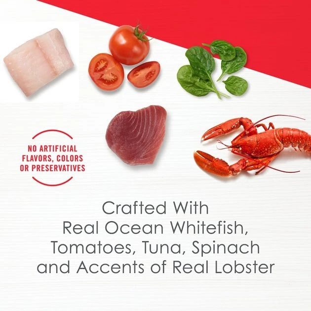 Fancy Feast Broths Seafood Bisque & Accents of Real Lobster Grain-Free Cat Food Topper, 1.4-oz, case of 16 5 Fancy Feast Broths Seafood Bisque & Accents of Real Lobster Grain-Free Cat Food Topper, 1.4-oz, case of 16 - Image 3