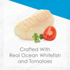 Fancy Feast Petites In Gravy Ocean Whitefish with Tomato Entree Grain-Free Wet Cat Food, 2.8-oz, case of 12 18 Fancy Feast Petites In Gravy Ocean Whitefish with Tomato Entree Grain-Free Wet Cat Food, 2.8-oz, case of 12 -FANCY FEAST Sales 265546 PT7. SY630 V1647913343