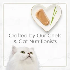 Fancy Feast Gourmet Petites Pate Collection Variety Pack Wet Cat Food, 2.8-oz tray, case of 24 -FANCY FEAST Sales 272241 PT8. SY630 V1658191424