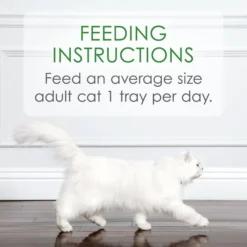 Fancy Feast Appetizers Grain-Free White Meat Chicken & Flaked Tuna Appetizer in Savory Broth Wet Cat Food, 1.1-oz tray, case of 10 17 Fancy Feast Appetizers Grain-Free White Meat Chicken & Flaked Tuna Appetizer in Savory Broth Wet Cat Food, 1.1-oz tray, case of 10 -FANCY FEAST Sales 285079 PT7. SY630 V1618966070
