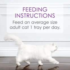 Fancy Feast Appetizers Grain-Free White Meat Chicken & Shredded Beef Appetizer in Savory Broth Wet Cat Food, 1.1-oz tray, case of 10 -FANCY FEAST Sales 285081 PT7. SY630 V1618964260