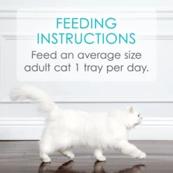 Fancy Feast Appetizers Grain-Free Variety Pack Wet Cat Food, 1.1-oz tray, case of 12 19 Fancy Feast Appetizers Grain-Free Variety Pack Wet Cat Food, 1.1-oz tray, case of 12 -FANCY FEAST Sales 285083 PT8. SY630 V1618962801