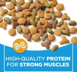 Cat Chow||Fancy Feast Cat Chow Complete Dry Food + Fancy Feast Savory Cravings Limited Ingredient Beef & Crab Flavor Cat Treats 12 Cat Chow||Fancy Feast Cat Chow Complete Dry Food + Fancy Feast Savory Cravings Limited Ingredient Beef & Crab Flavor Cat Treats -FANCY FEAST Sales 292814 PT3. SY630 V1619997721