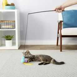 Fancy Feast||Frisco Fancy Feast Tender Feast Canned Food + Frisco Bird Teaser with Feathers Cat Toy, Blue 13 Fancy Feast||Frisco Fancy Feast Tender Feast Canned Food + Frisco Bird Teaser with Feathers Cat Toy, Blue -FANCY FEAST Sales 292976 PT5. SY630 V1620009422