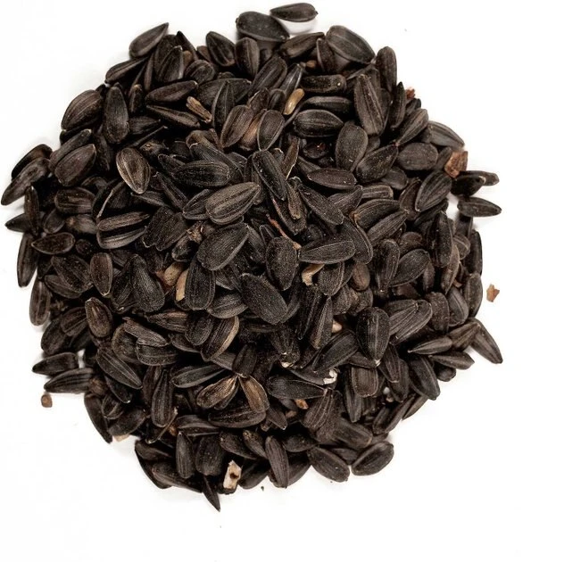 Wagner's||Arm & Hammer Litter Wagner's Four Season 100% Black Oil Sunflower Seed Wild Bird Food + Arm & Hammer Litter Slide Multi-Cat Scented Clumping Clay Cat Litter 4 Wagner's||Arm & Hammer Litter Wagner's Four Season 100% Black Oil Sunflower Seed Wild Bird Food + Arm & Hammer Litter Slide Multi-Cat Scented Clumping Clay Cat Litter - Image 4