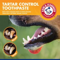 Arm & Hammer Tartar Control Banana Mint Flavored Enzymatic Dog Dental Kit -FANCY FEAST Sales 316876 PT5. SY630 V1627943175