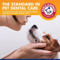 Arm & Hammer Tartar Control Banana Mint Flavored Enzymatic Dog Dental Kit -FANCY FEAST Sales 316876 PT6. SY630 V1627946891