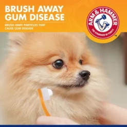 Arm & Hammer Tartar Control Small Dog Toothbrush -FANCY FEAST Sales 316878 PT4. SY630 V1627946522