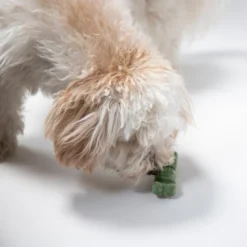 Arm & Hammer Fresh Spectrum 360 Dentamax Dental Chews for Medium & Large Dogs, 36-60 lbs -FANCY FEAST Sales 322715 PT2. SY630 V1632886290