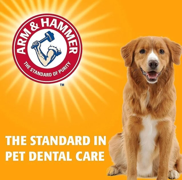 Arm & Hammer Tartar Control Dental Mints Beef Flavor Dog Dental Chews 6 Arm & Hammer Tartar Control Dental Mints Beef Flavor Dog Dental Chews - Image 4