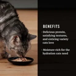 Fancy Feast||American Journey Fancy Feast Classic Seafood Feast Variety Pack Canned Food + American Journey Landmark Broths Seafood Variety Pack Wet Cat Food Complement Pouches -FANCY FEAST Sales 353371 PT8. SY630 V1639527992