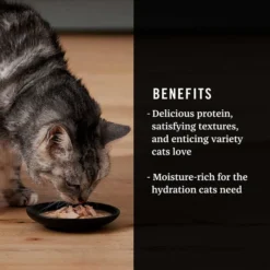 Fancy Feast||American Journey Fancy Feast Flaked Fish & Shrimp Feast Canned Food + American Journey Landmark Broths Seafood Variety Pack Wet Cat Food Complement Pouches 19 Fancy Feast||American Journey Fancy Feast Flaked Fish & Shrimp Feast Canned Food + American Journey Landmark Broths Seafood Variety Pack Wet Cat Food Complement Pouches -FANCY FEAST Sales 353376 PT8. SY630 V1639542110